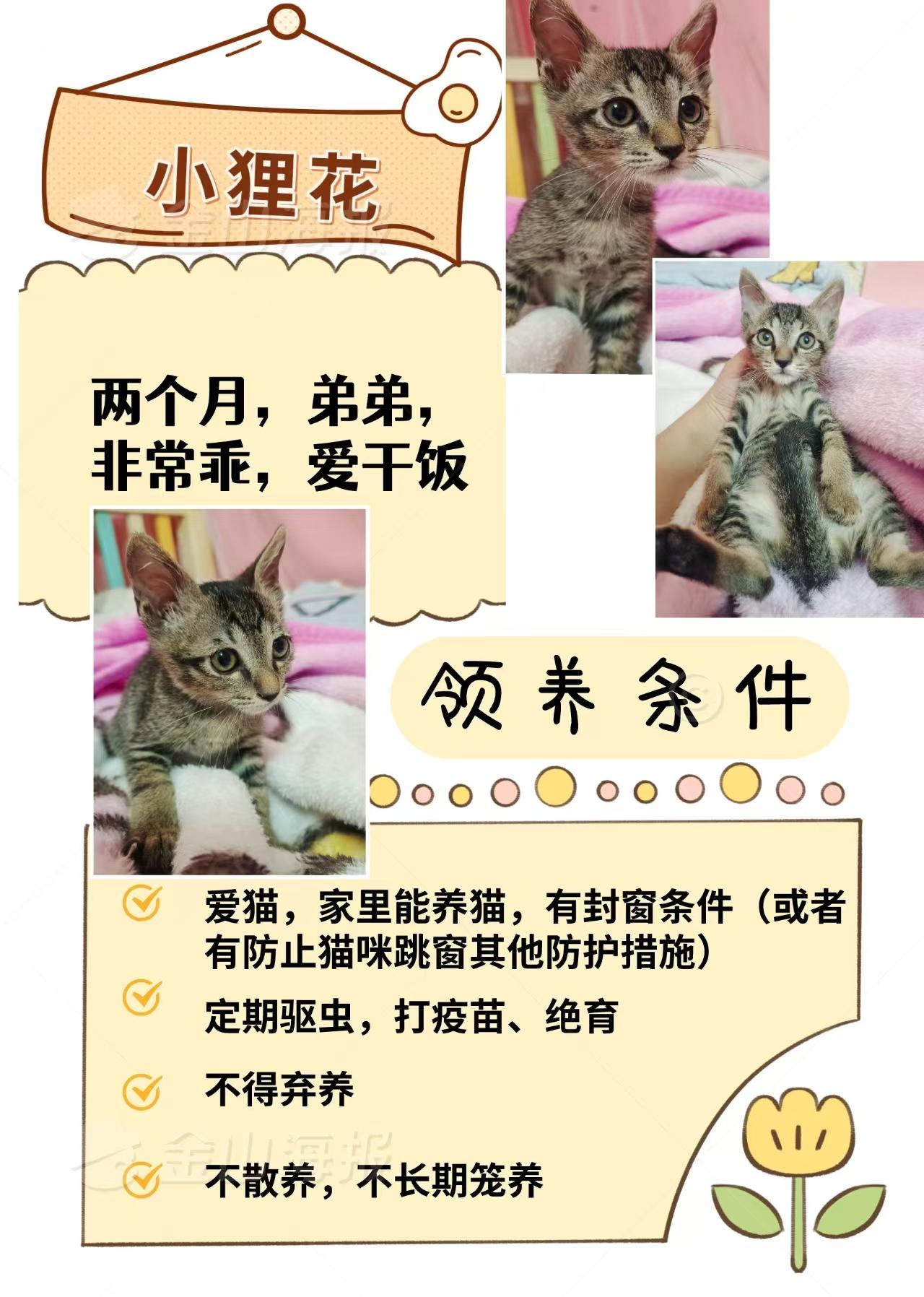 闲置出售 