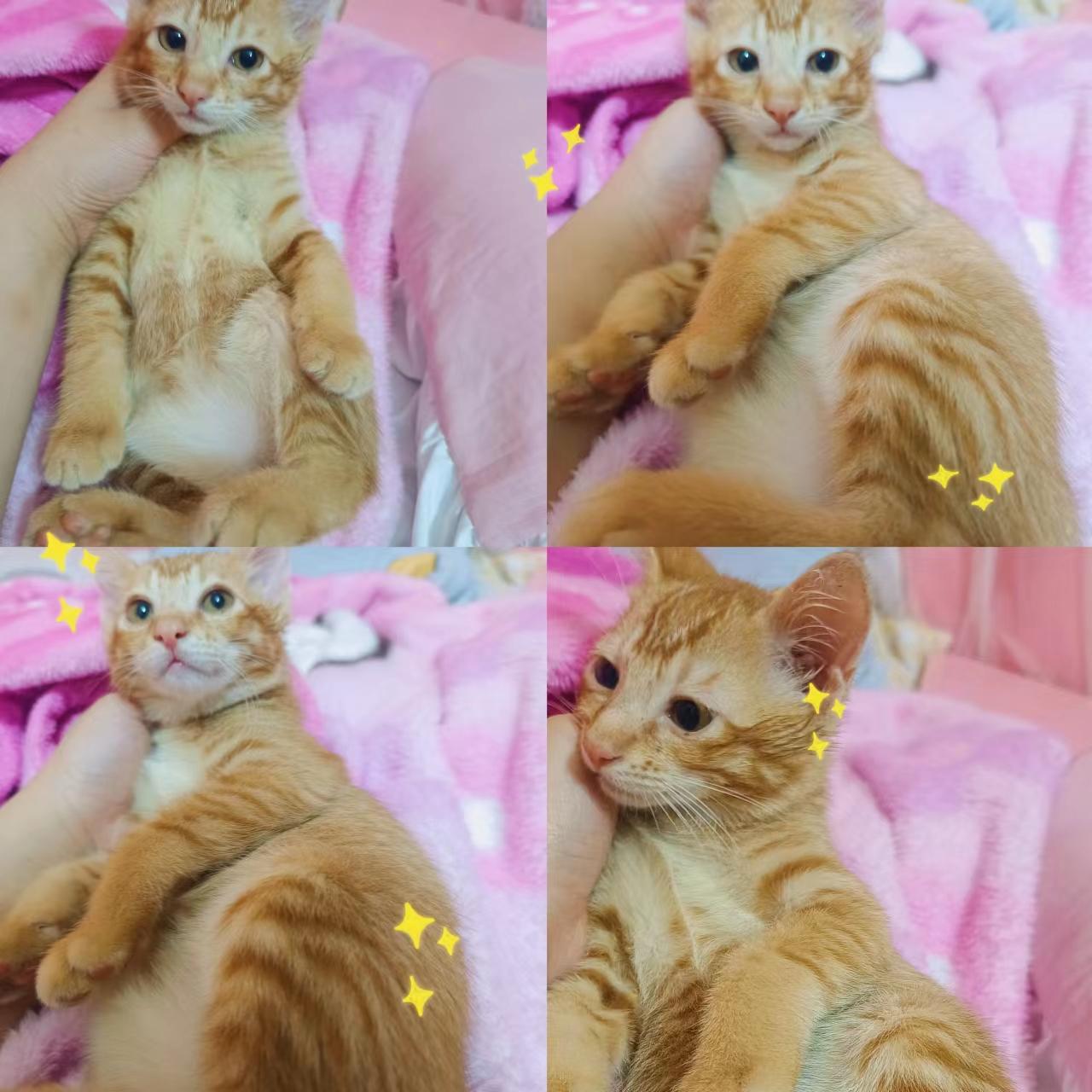 闲置出售 