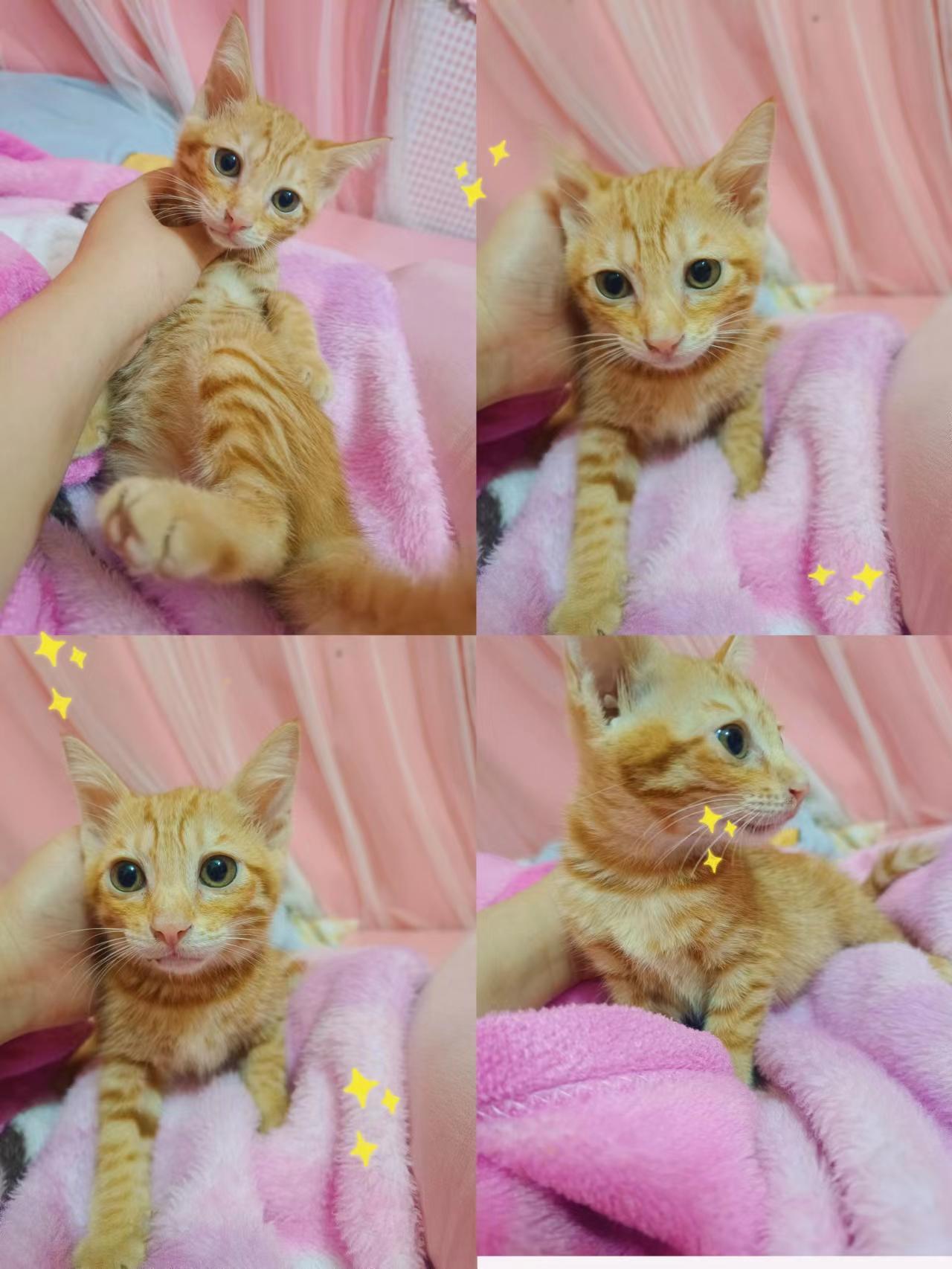 闲置出售 