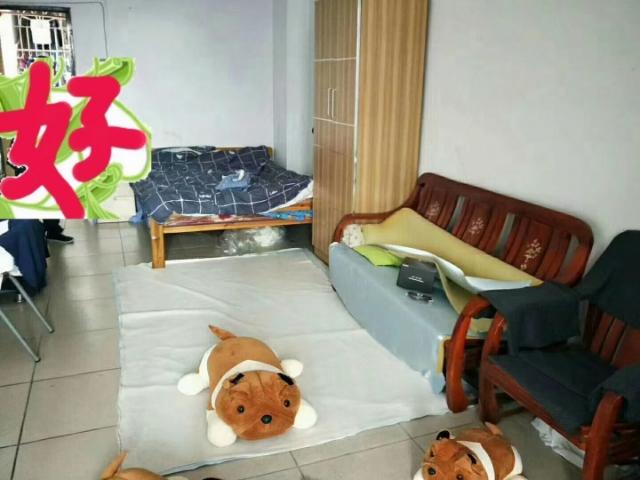 房屋出租 