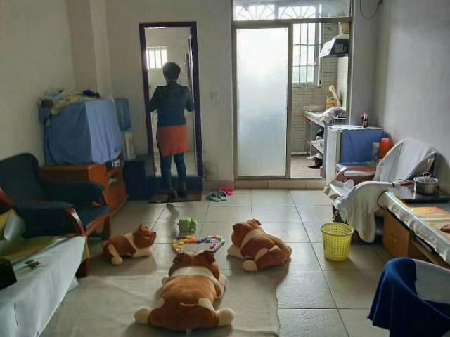 房屋出租 