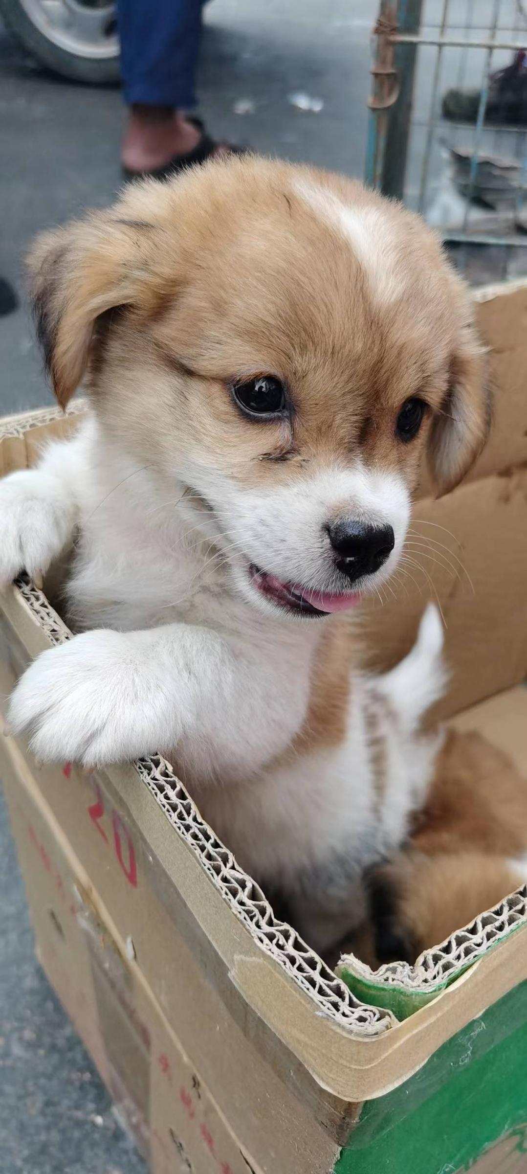 闲置出售 