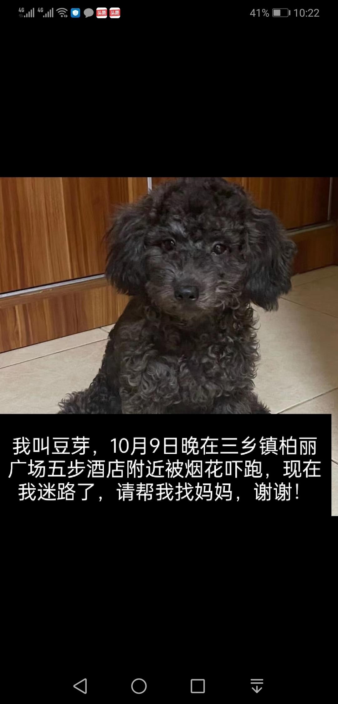 寻物启事 