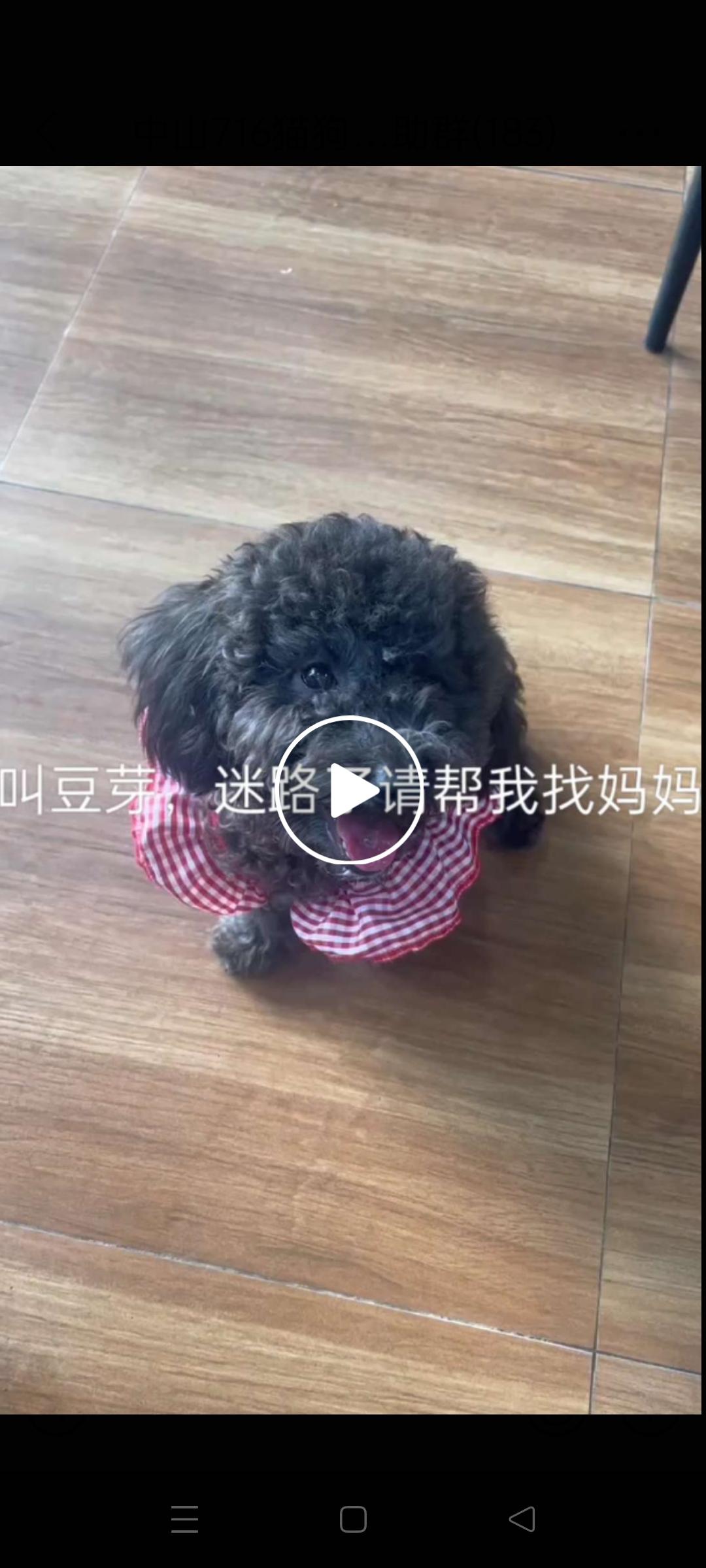 寻物启事 