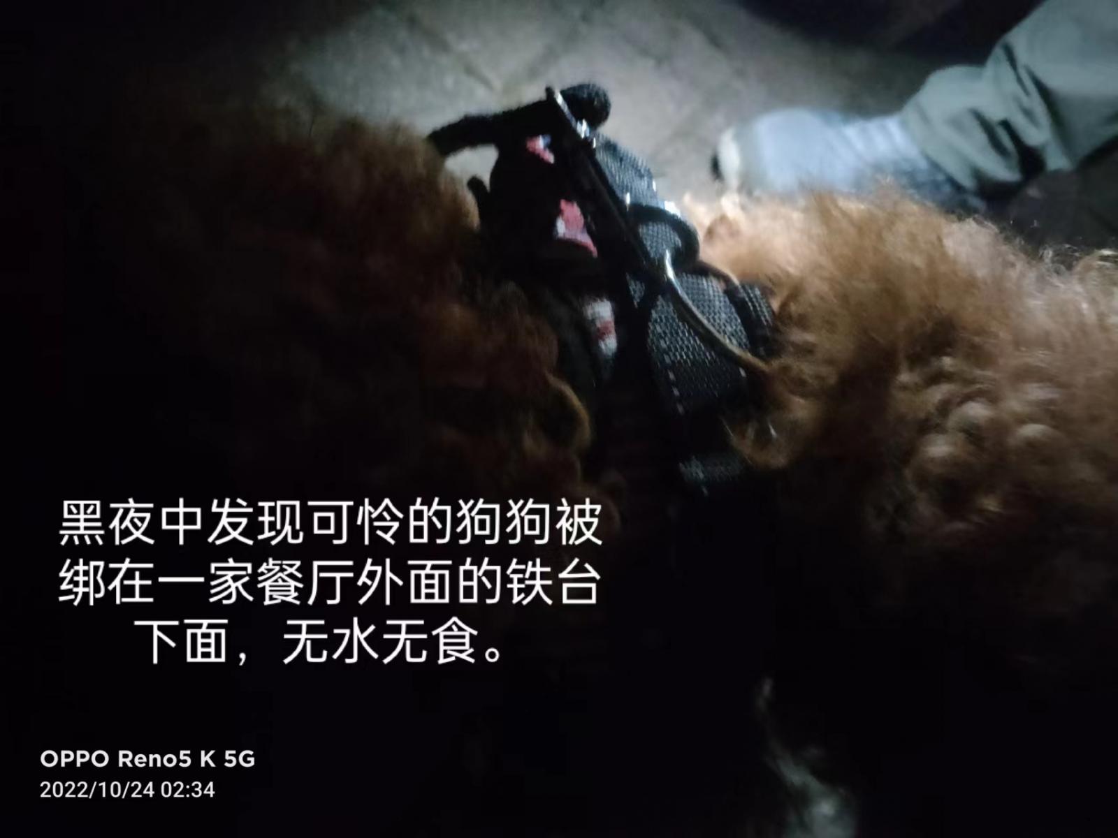 失物招领 