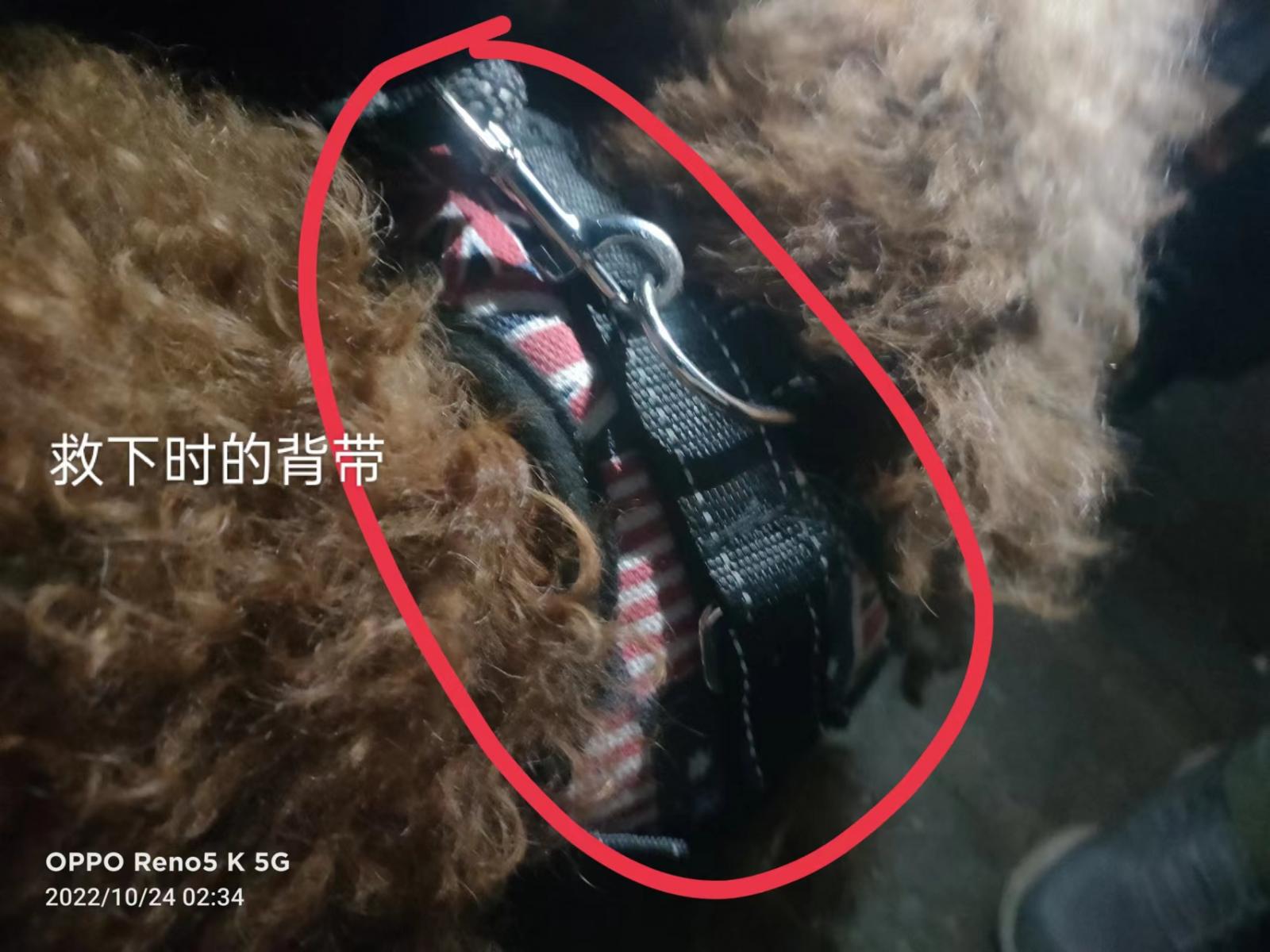 失物招领 