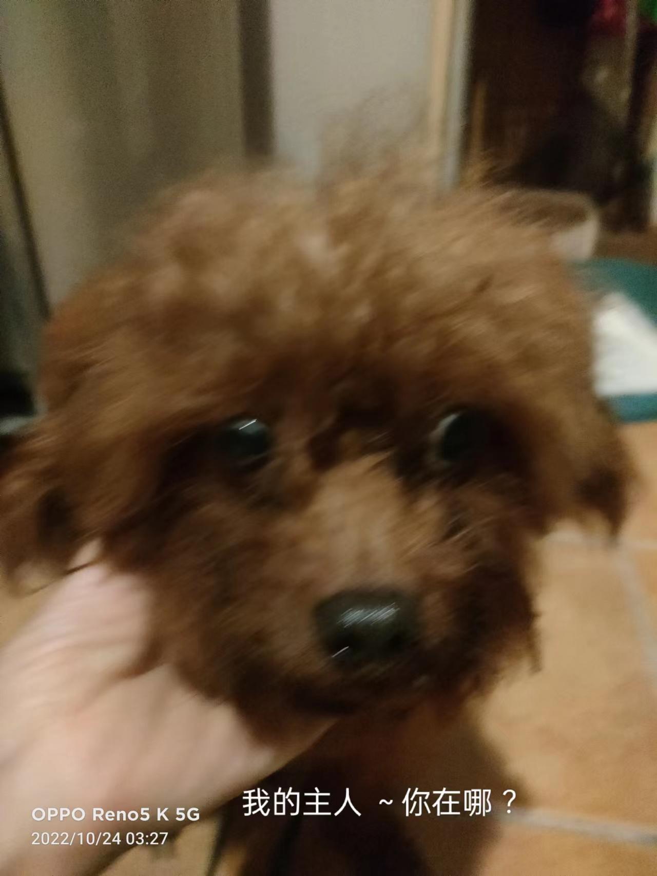 失物招领 
