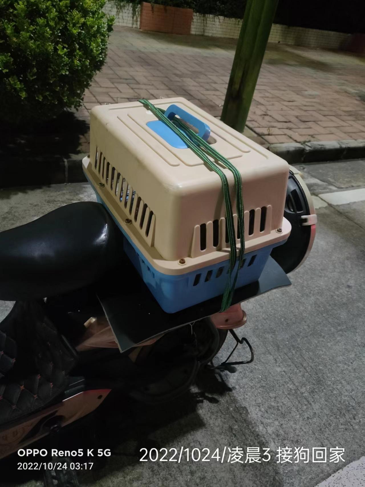 失物招领 