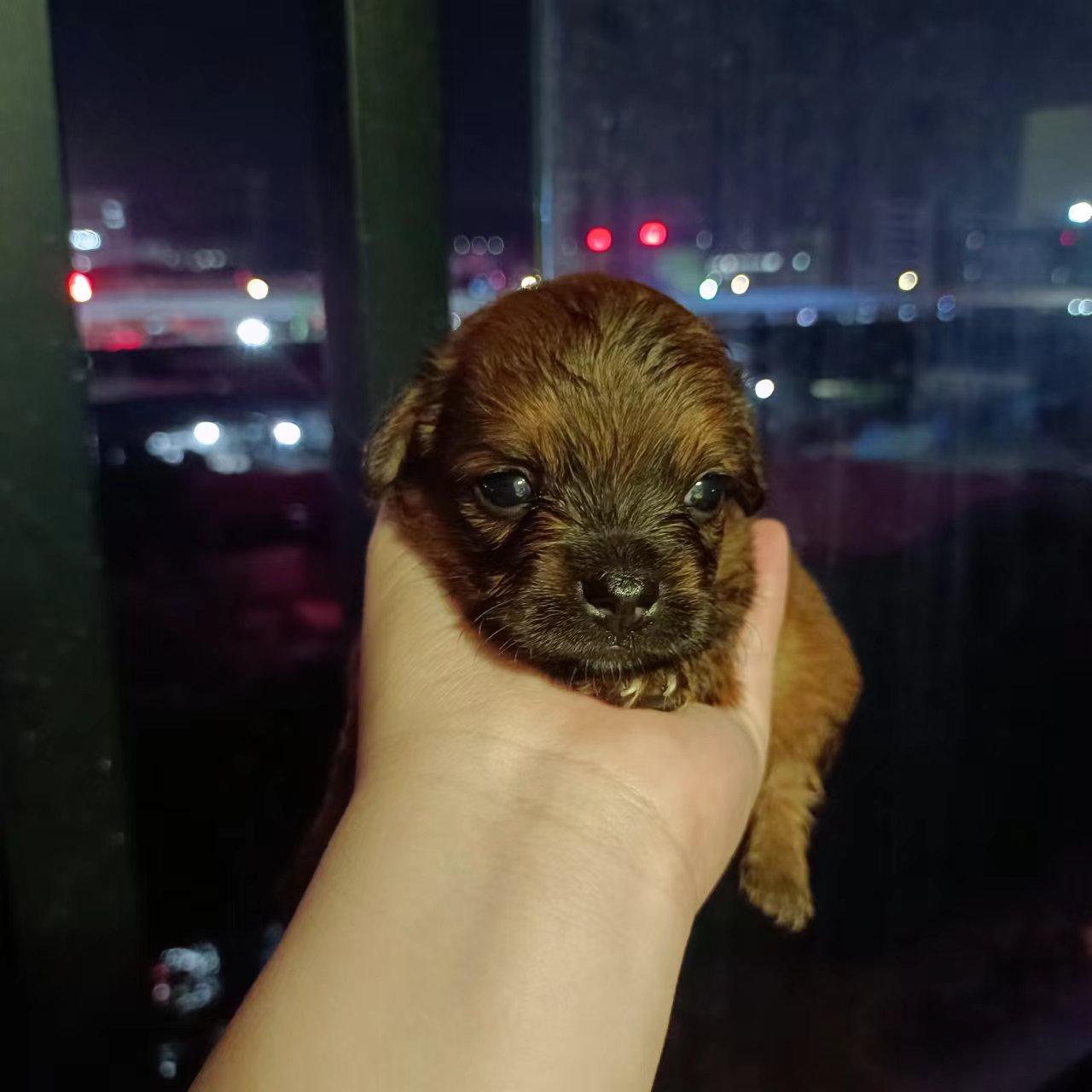 闲置出售 