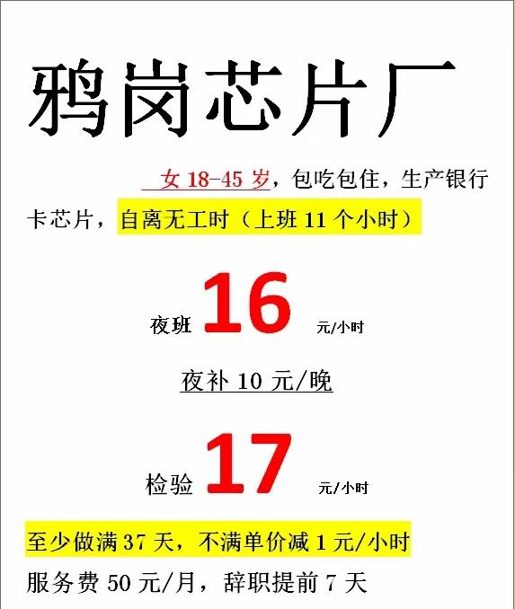 三乡招聘 